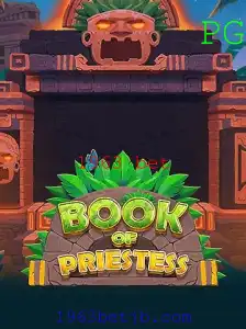 BookOfPriestess: Mergulhe no Intrigante Mundo de Apostas e Mistérios do Passado